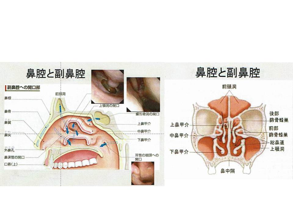 止まら 蓄膿 ない が 咳